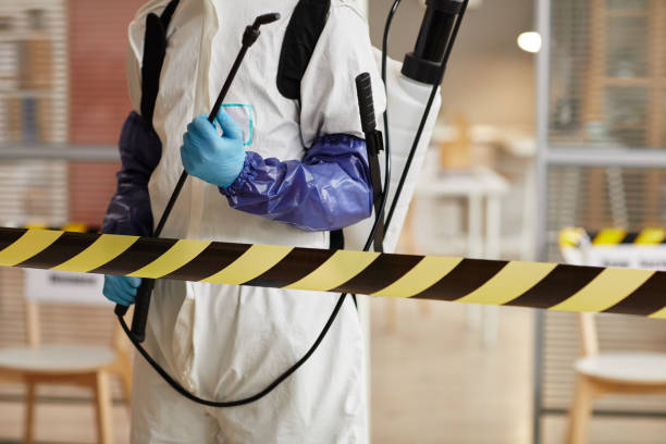 Professional Sewage Cleanup technician working in Wantagh, NY